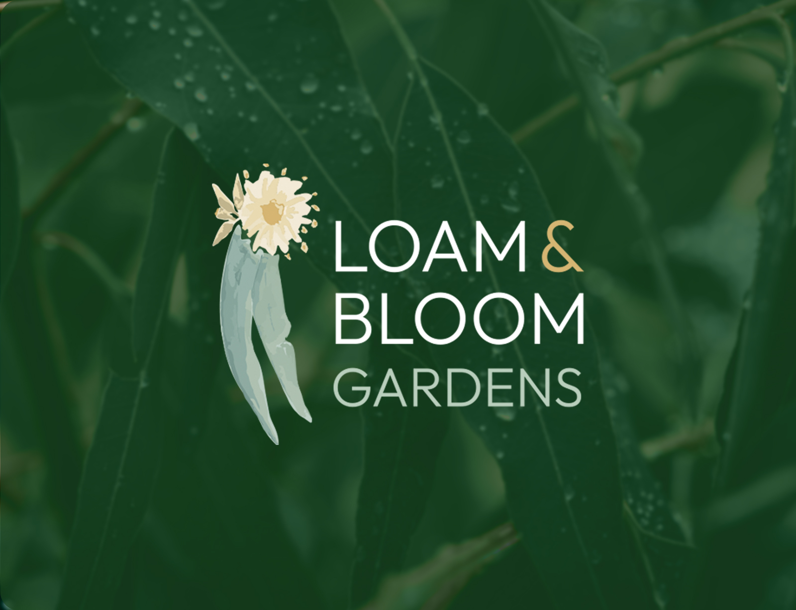 Designed to Grow: Loam & Bloom Logo Development